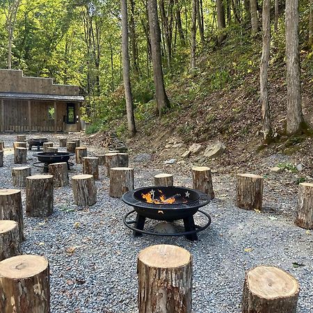 Cozy Cove Retreat W Lake View Hot Tub Firepit 댄드리지 외부 사진